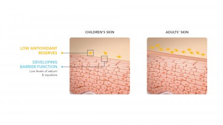 Graphical representation of the difference between a child's skin barrier and an adult's.